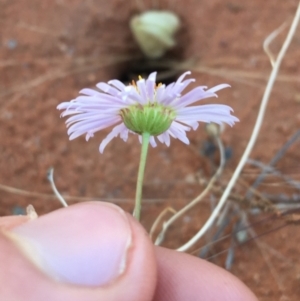 Unidentified at suppressed - 3 Jul 2021