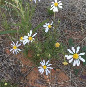 Unidentified at suppressed - 3 Jul 2021