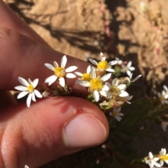 Unidentified at suppressed - 4 Jul 2021