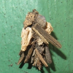 Psychidae (family) IMMATURE (Unidentified case moth or bagworm) at Flynn, ACT - 7 Dec 2021 by Christine