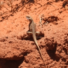 Unverified Dragon by Liam.m