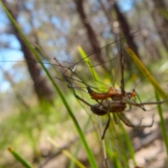 Unidentified at suppressed - 29 Dec 2021