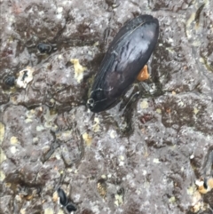 Unidentified at suppressed - 17 Dec 2021