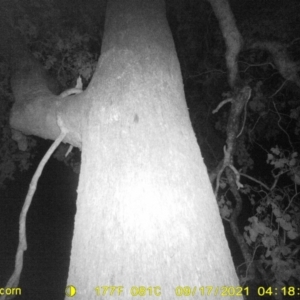 Unidentified at suppressed - 17 Sep 2021
