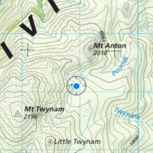Hydromys chrysogaster at Munyang, NSW - suppressed
