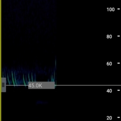 Unidentified at suppressed - 6 Feb 2022