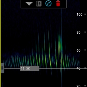 Unidentified at suppressed - 6 Feb 2022