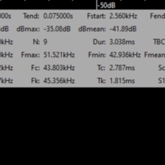 Vespadelus sp. (genus) at Greenleigh, NSW - 6 Feb 2022 09:13 PM