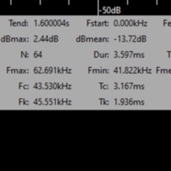 Vespadelus sp. (genus) at Greenleigh, NSW - 6 Feb 2022 09:13 PM