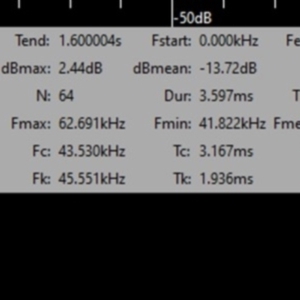 Vespadelus sp. (genus) at Greenleigh, NSW - 6 Feb 2022 09:13 PM