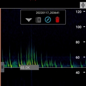 Unidentified at suppressed - 17 Jan 2022