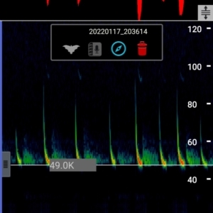 Unidentified at suppressed - 17 Jan 2022