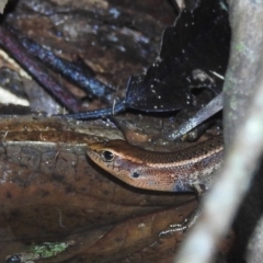 Unverified at suppressed - suppressed