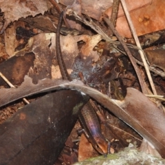 Unverified at suppressed - suppressed