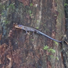 Unverified at suppressed - suppressed