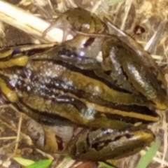 Unidentified at suppressed - 28 Feb 2022