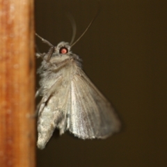 Unverified at suppressed - suppressed