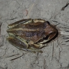 Unverified at suppressed - suppressed