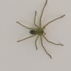 Unverified at suppressed - suppressed