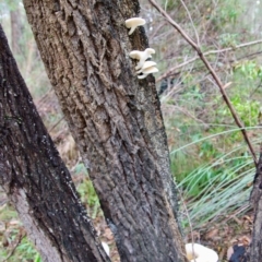 Unverified at suppressed - suppressed