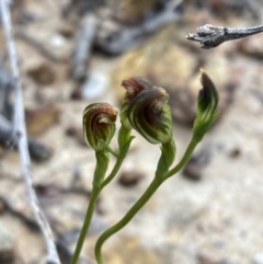 Unverified at suppressed - suppressed