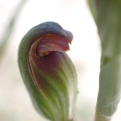 Unverified at suppressed - suppressed