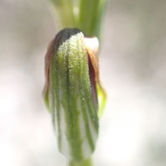 Unverified at suppressed - suppressed