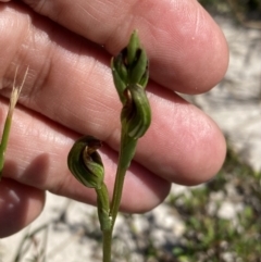 Unverified at suppressed - suppressed