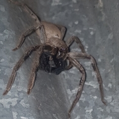 Unidentified at suppressed - 2 Sep 2020