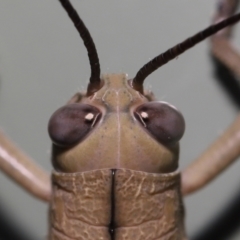 Unverified at suppressed - suppressed