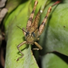 Unverified at suppressed - suppressed