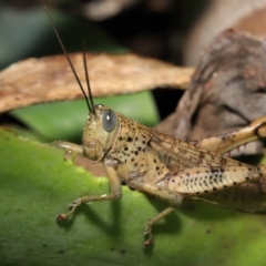 Unverified at suppressed - suppressed