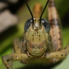 Unverified at suppressed - suppressed