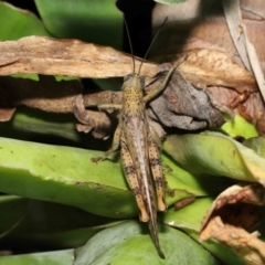 Unverified at suppressed - suppressed