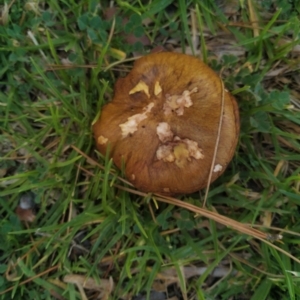 Unidentified at suppressed - 24 Apr 2022