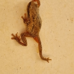 Unverified at suppressed - suppressed