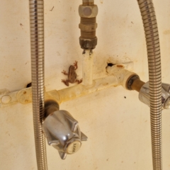 Unverified at suppressed - suppressed