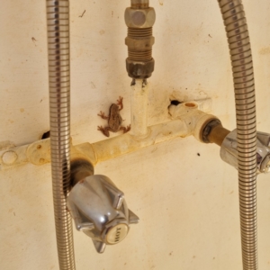 Unverified at suppressed - suppressed