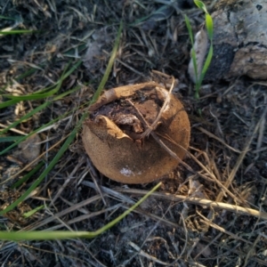 Unidentified at suppressed - 28 Apr 2022