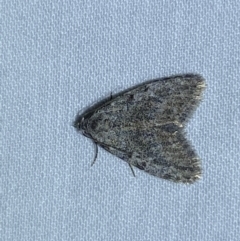 Unidentified Moth (Lepidoptera) at Jerrabomberra, NSW - 28 Apr 2022 by SteveBorkowskis