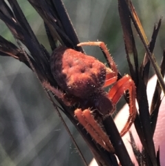 Unverified at suppressed - suppressed