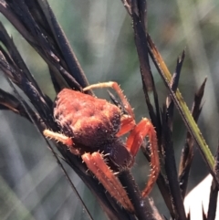 Unverified at suppressed - suppressed