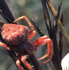 Unverified at suppressed - suppressed