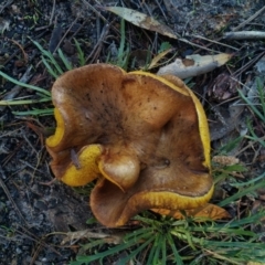 Unidentified at suppressed - 1 May 2022