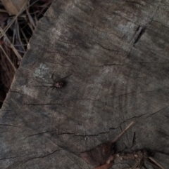 Unidentified at suppressed - 1 May 2022