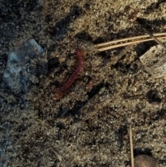 Unidentified at suppressed - 1 May 2022