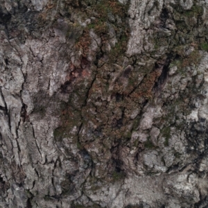 Unidentified at suppressed - 7 May 2022