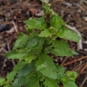 Unidentified at suppressed - 8 May 2022