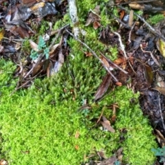 Unverified at suppressed - suppressed