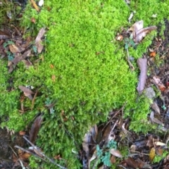 Unverified at suppressed - suppressed